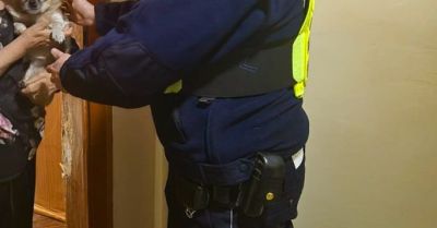 Perełka bezpiecznie wróciła do domu dzięki policjantom